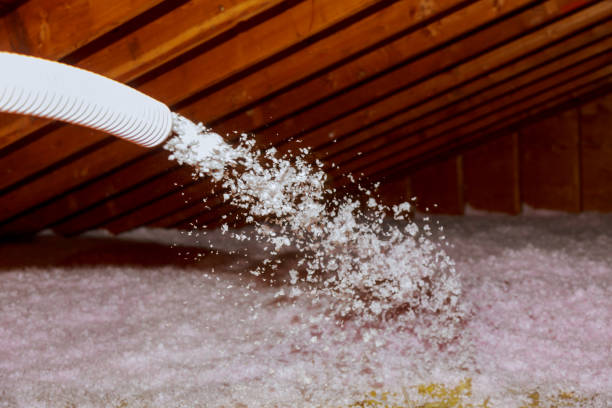 Best Types of Insulation in San Leandro, CA